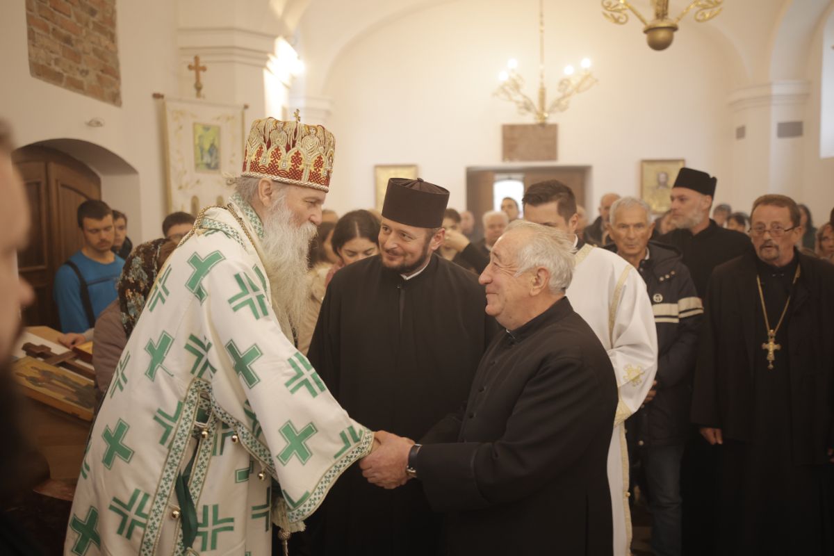 Dani Patrijarha Pavla